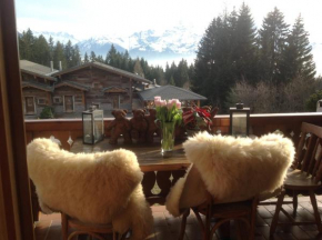 Petit Ours Villars-Sur-Ollon